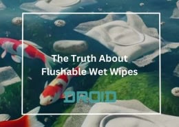 The Truth About Flushable Wet Wipes 260x185 - Wet Wipes Machine Buyer Guide