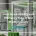 How Sustainability and Efficiency Help in Wet Wipes Industry 36x36 - How Sustainability and Efficiency Help in Wet Wipes Industry